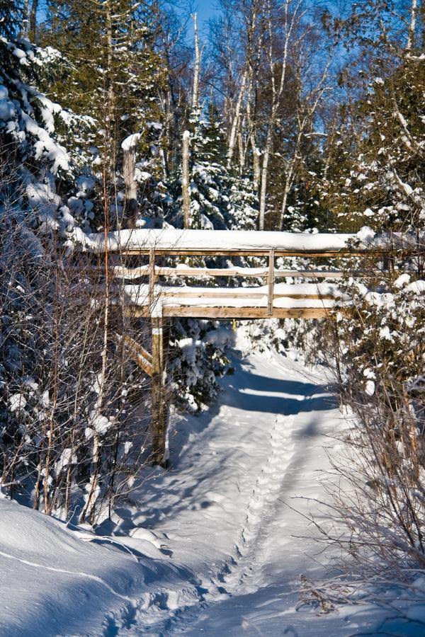 Poplar Creek Guesthouse Grand Marais Exteriör bild